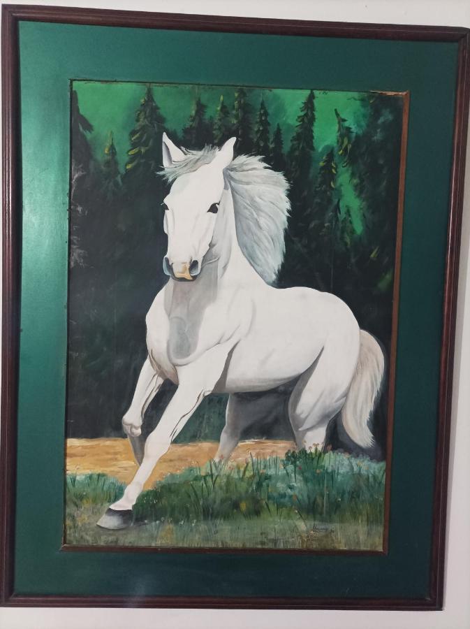 Hostel Caballo Blanco Cartagena Ngoại thất bức ảnh